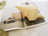 buy beige trumpet seashell